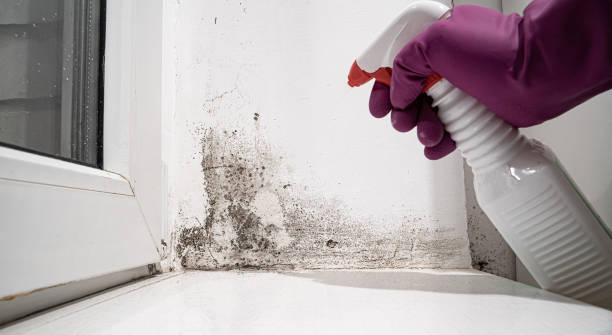 Best Water damage restoration near me  in Islip Terrace, NY